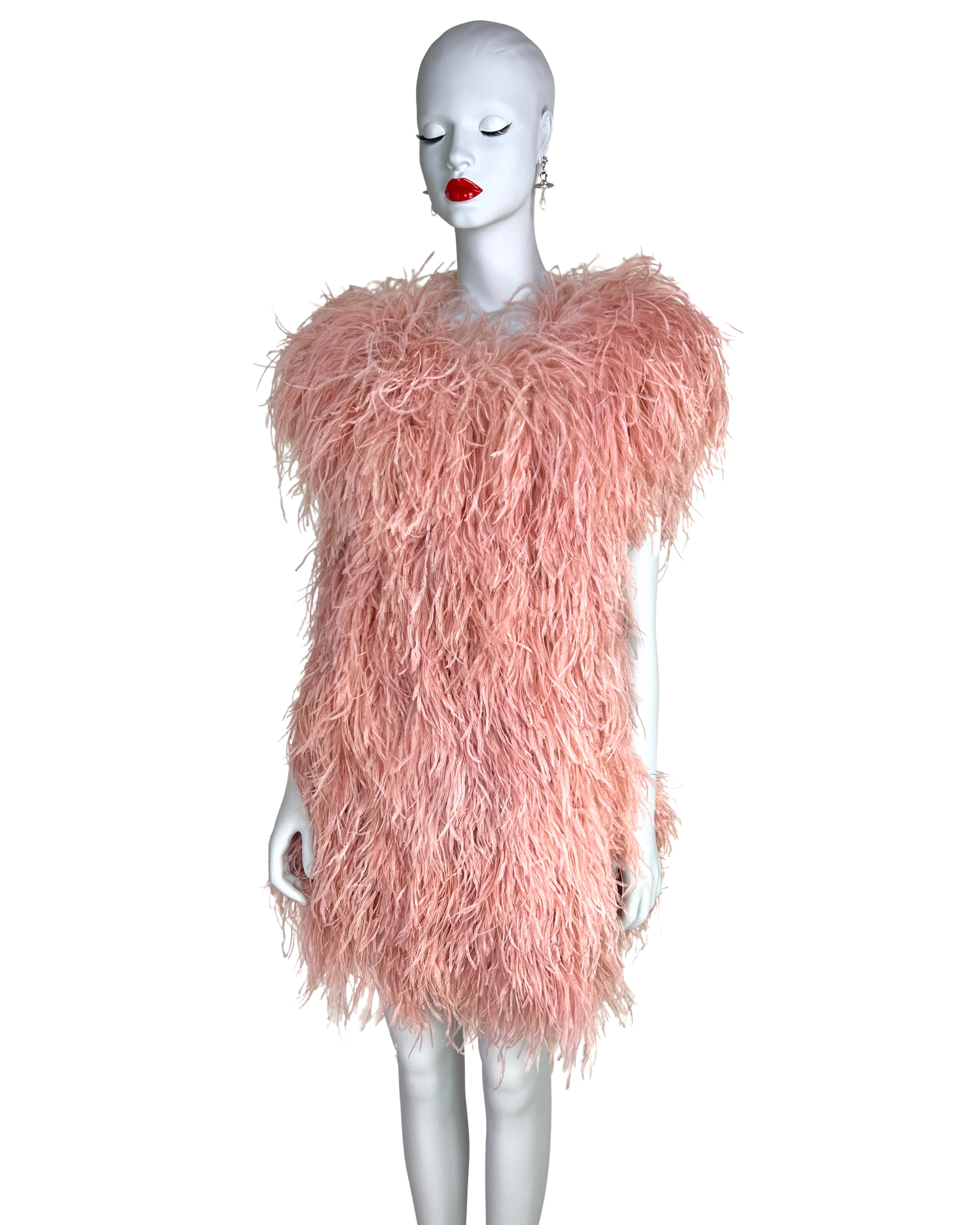 Sonia Rykiel Fall 2010 Ostrich Feather Dress